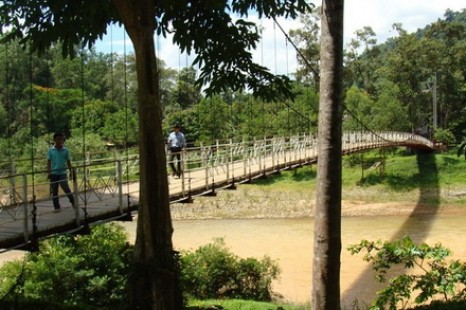 Tour Du Lịch Đà Lạt - Bảo Lộc - Madagui 3 Ngày